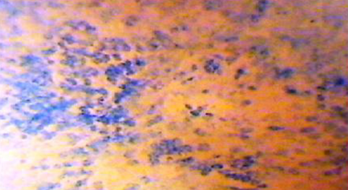Images